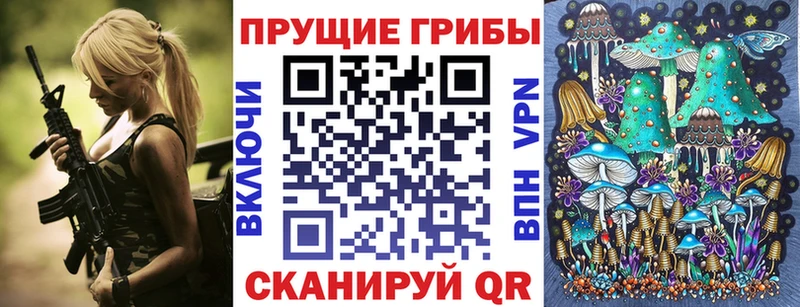 ссылка на мегу маркетплейс  Белоярский  Псилоцибиновые грибы Cubensis  как найти наркотики 